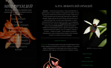 orchidee.ws screenshot