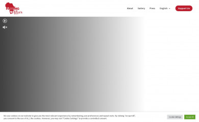 paddingafrica.com screenshot