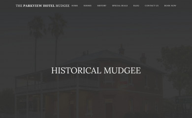 parkviewhotelmudgee.com.au screenshot