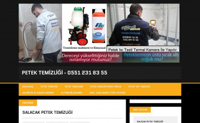 petektemizliği.com screenshot