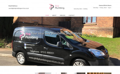pinkplumbingservices.co.uk screenshot