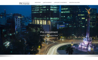 pro-im.mx screenshot