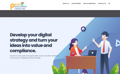 profitdevelopmentconsulting.com screenshot