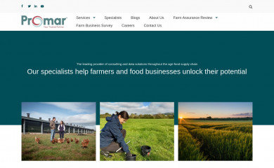 promar-international.com screenshot