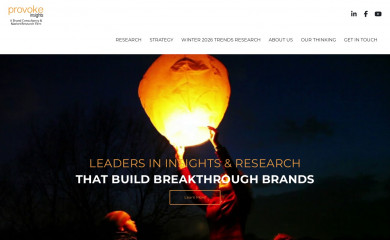 provokeinsights.com screenshot