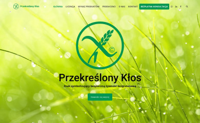 przekreslonyklos.pl screenshot