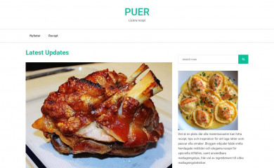 puer.org.ua screenshot