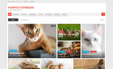 purrfectcatbreeds.com screenshot
