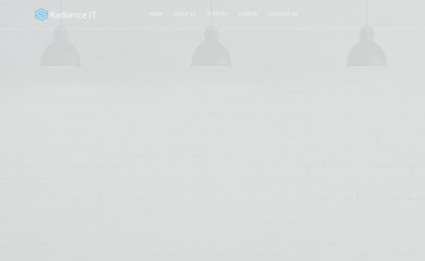 radianceitsolutions.com screenshot