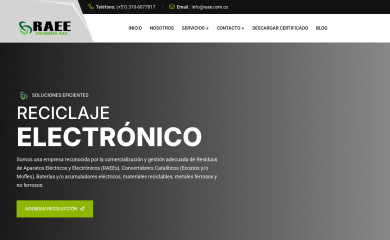 raee.com.co screenshot