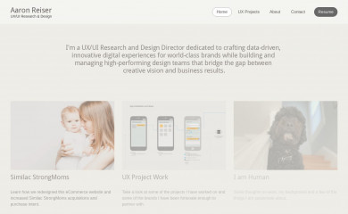 reiserdesign.com screenshot