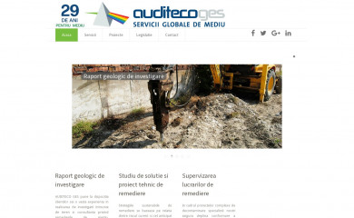 remedieridemediu.ro screenshot