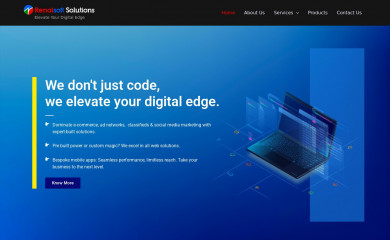 renaisoft.com screenshot