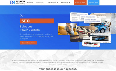 reunionmarketing.com screenshot