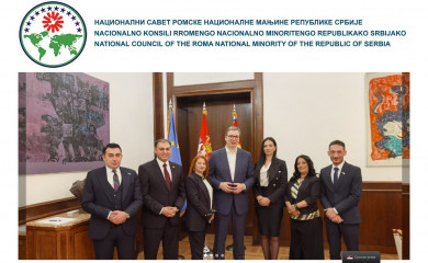 romskinacionalnisavet.org.rs screenshot