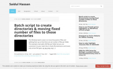 saidulhassan.com screenshot