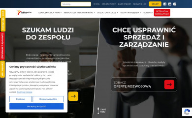 saleswise.pl screenshot
