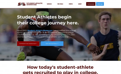 sasprospects.com screenshot