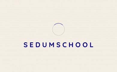 sedumrehab.com screenshot