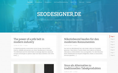 seodesigner.de screenshot