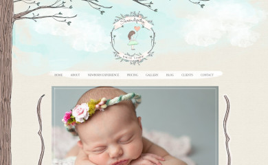 serendipityphotostudio.com screenshot