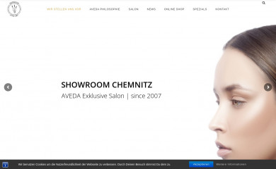 showroom-hair.de screenshot