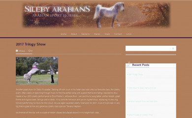 silebyarabians.com screenshot