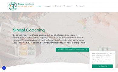 sinapi-coaching.fr screenshot