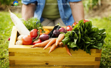sitionovomundo.com.br screenshot