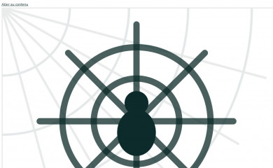 spiderwebs.fr screenshot