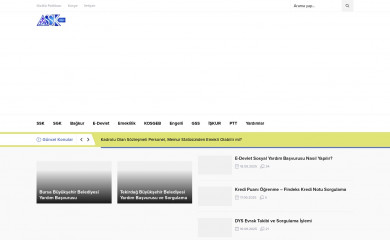 ssk.biz.tr screenshot