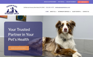 stationvets.com screenshot