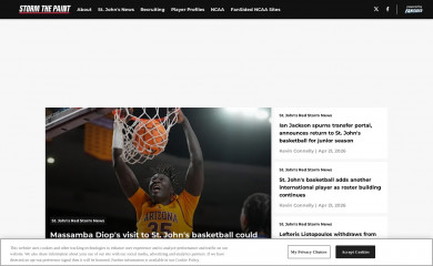 stormthepaint.com screenshot