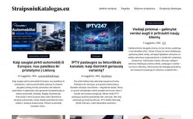 straipsniukatalogas.eu screenshot