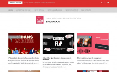 studiogaco.fr screenshot