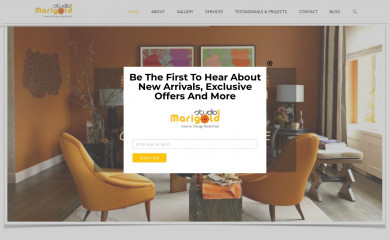 studiomarigold.com screenshot