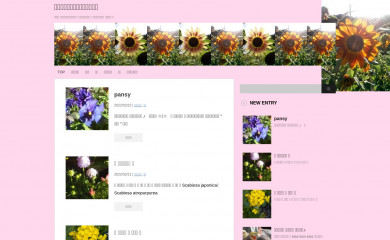 sunflower-m.com screenshot