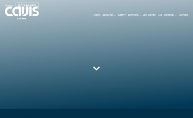 superioroptimization.com screenshot