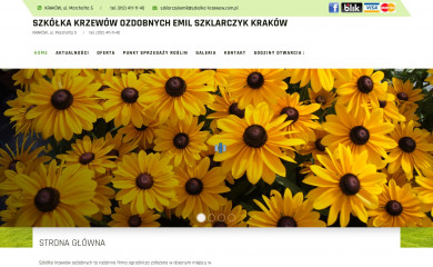 szkolka-krzewow.com.pl screenshot
