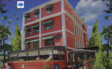 tashan.com.tr screenshot