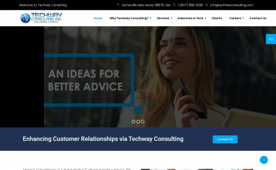 techwayconsulting.com screenshot
