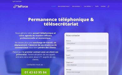 telforce.fr screenshot