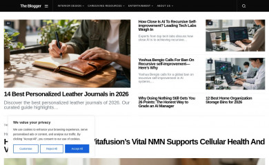 theblogger.info screenshot