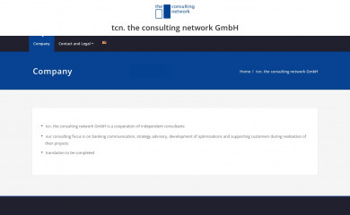 theconsultingnetwork.de screenshot