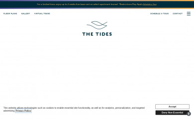 thetidesdc.com screenshot