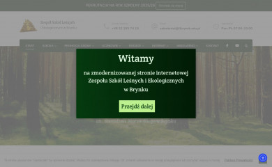 tlbrynek.edu.pl screenshot