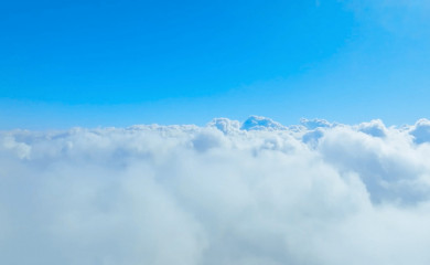 toare.com screenshot