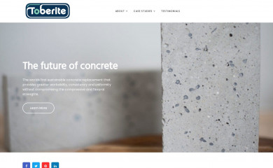 toberite.com screenshot
