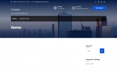 tomaso.dk screenshot