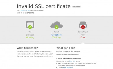 transferking.nl screenshot